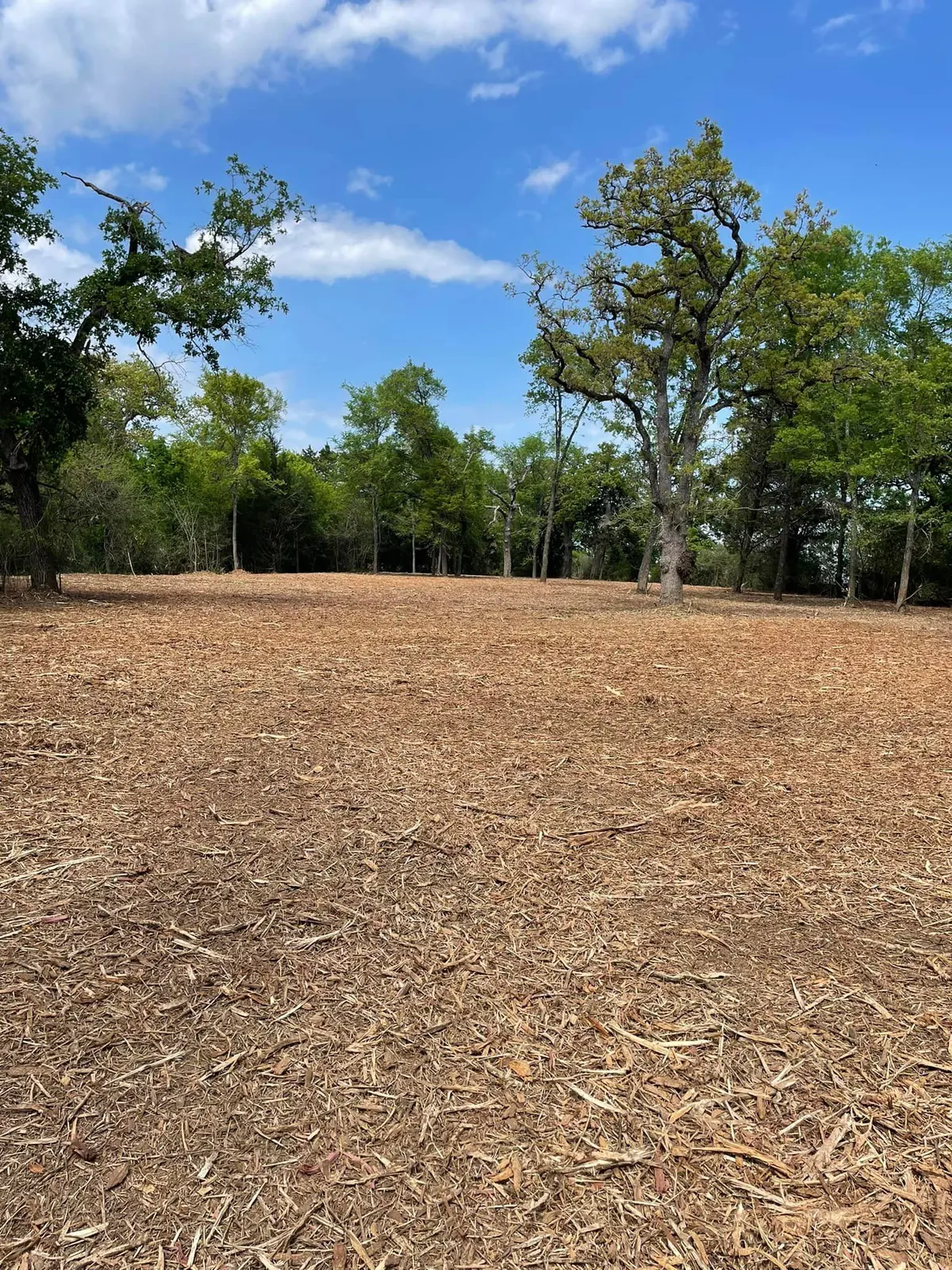 Large tract cleared down to a mulch-covered surface beside a treeline