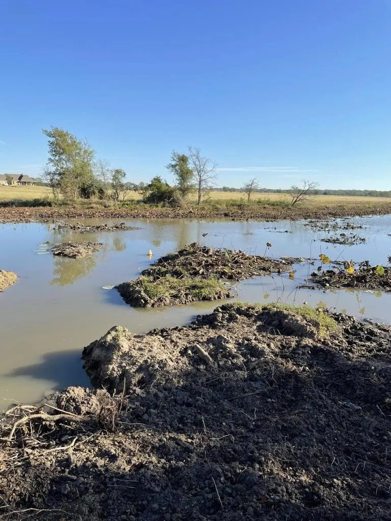 Pond being cleaned out, with piles of dug sediment in shallow water