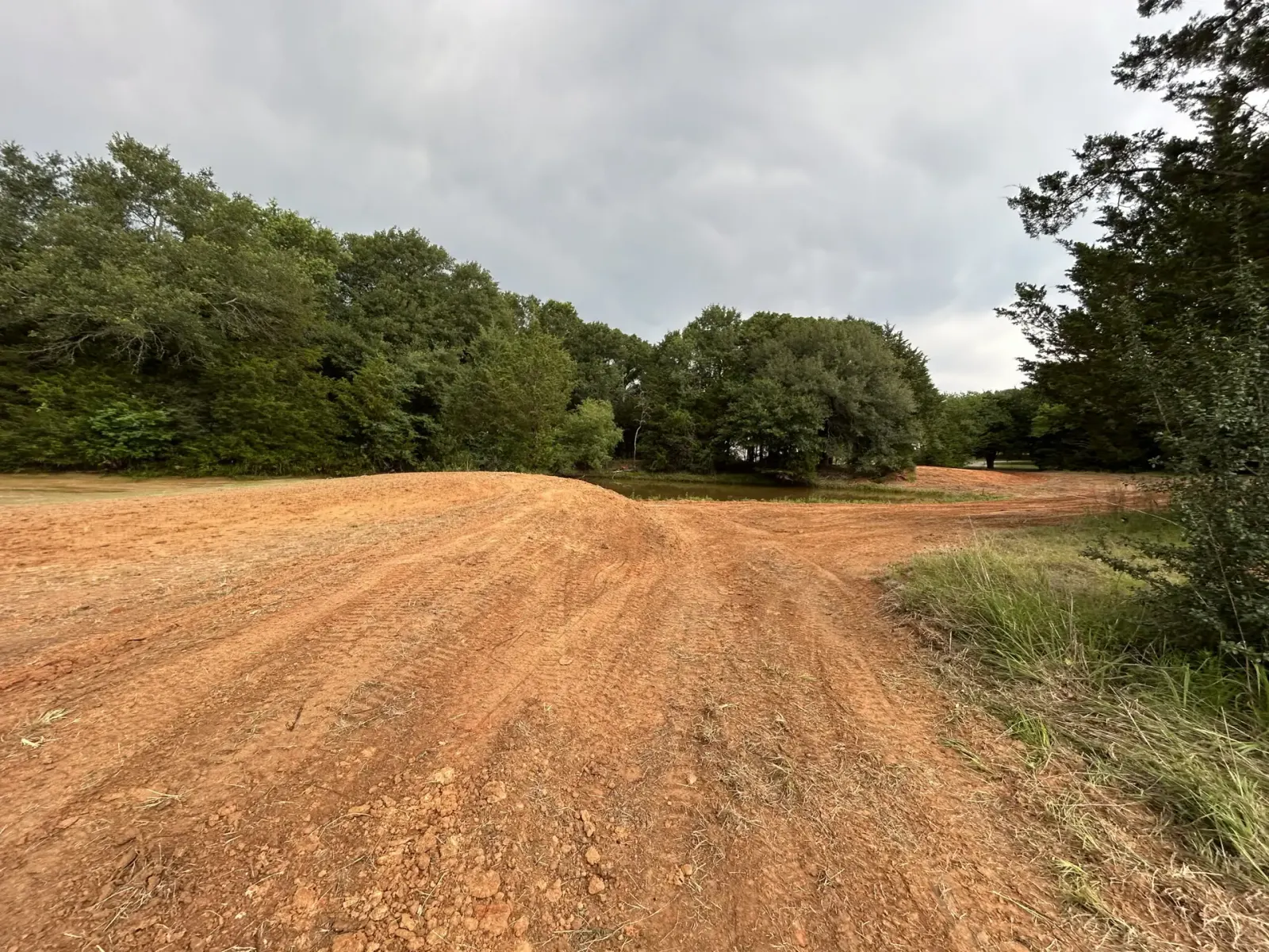 Graded red-dirt road along a treeline