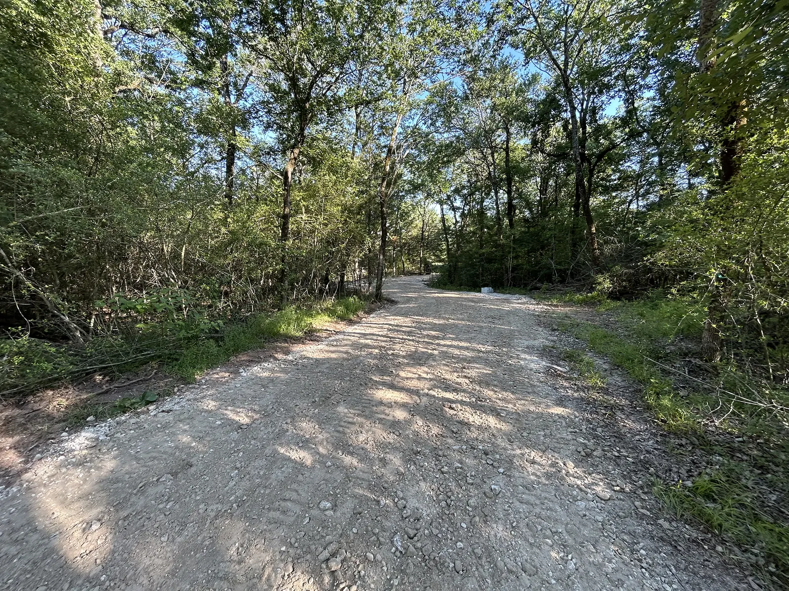 New gravel driveway curving through a wooded property