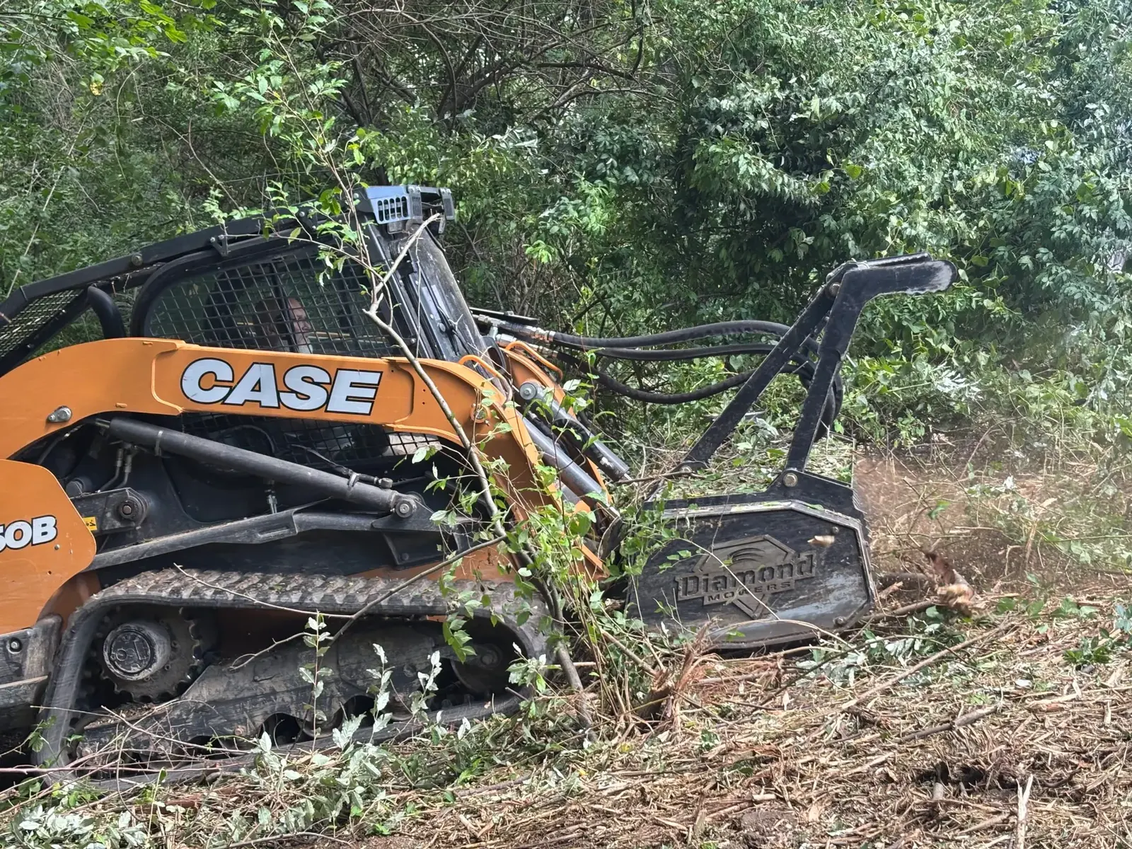 Tracked loader cutting back dense green overgrowth