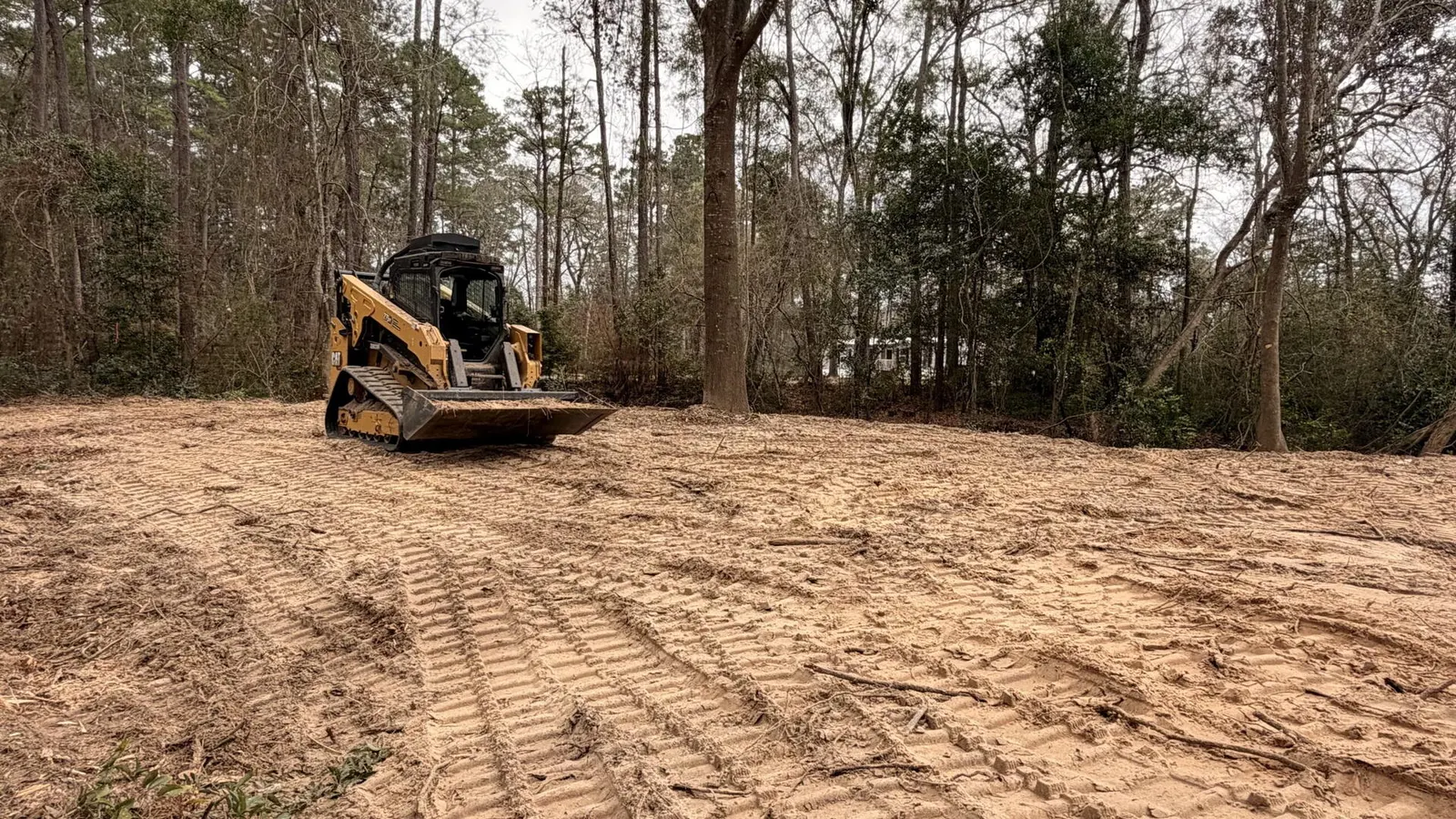 Cat track loader on a freshly cleared wooded lot
