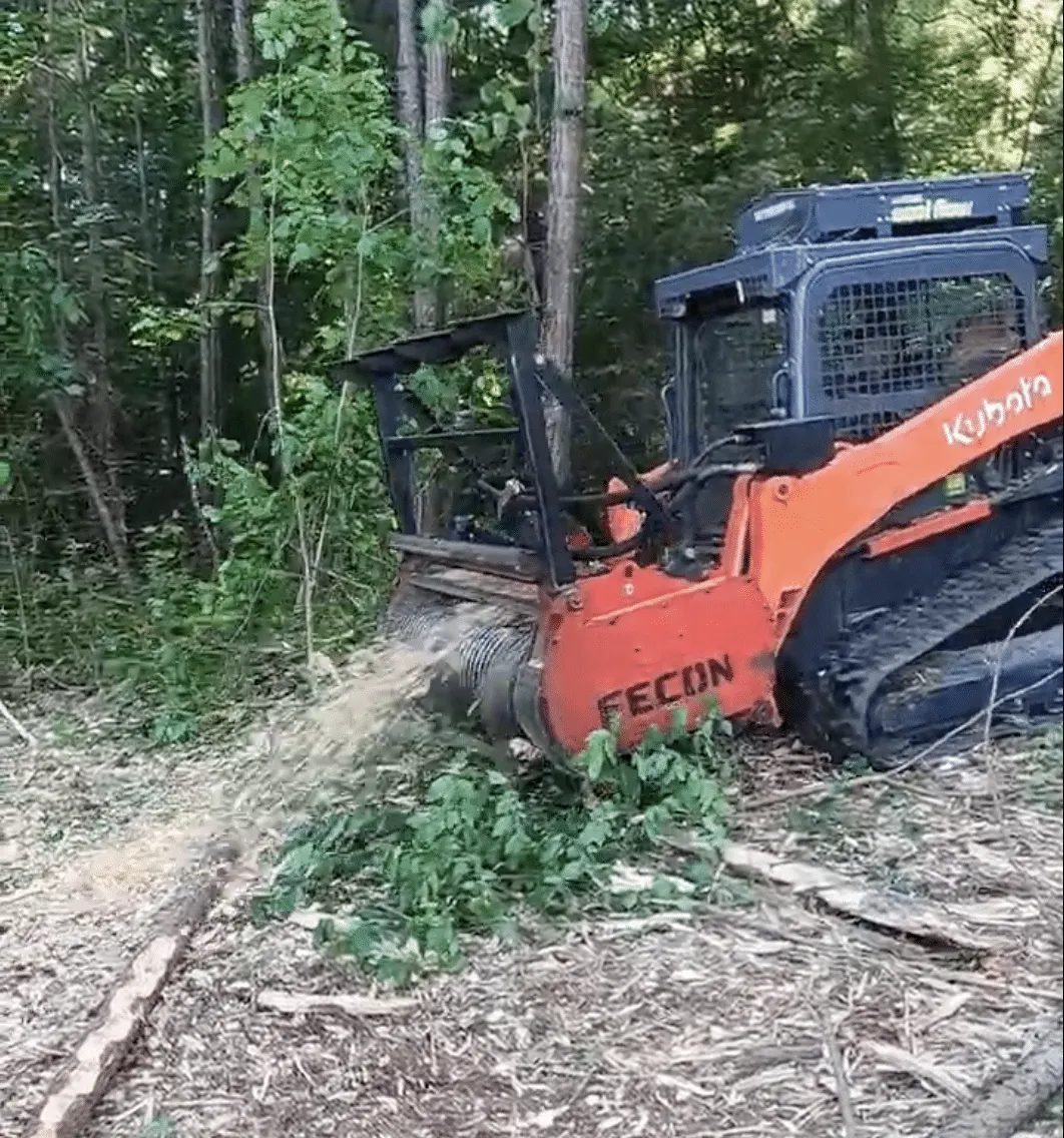Kubota track loader with a Fecon mulching head clearing vines and saplings