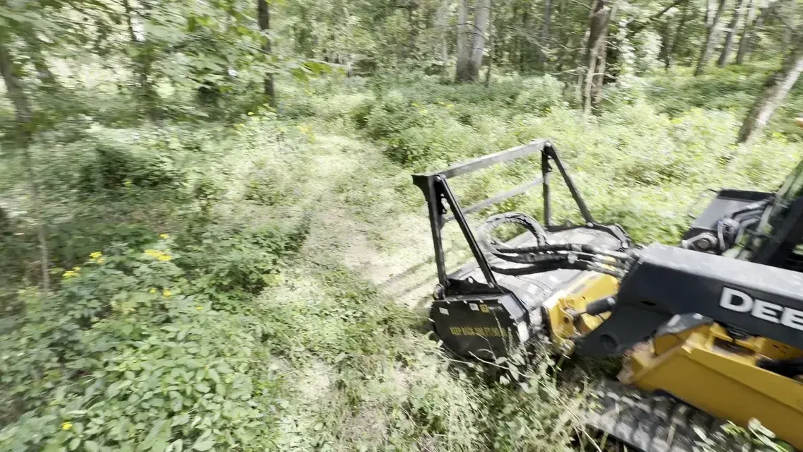Forestry mulcher clearing undergrowth on a wooded building site