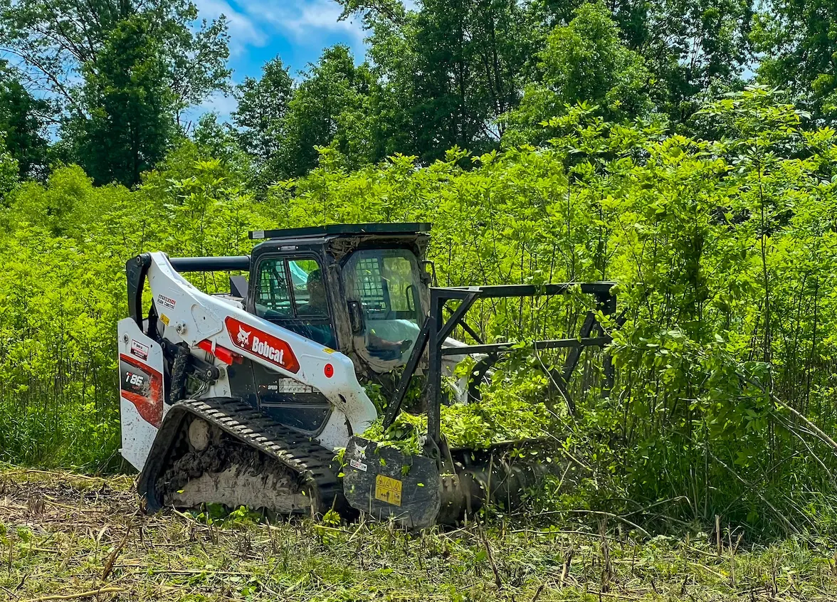 Bobcat compact track loader with forestry mulcher clearing tall brush in the Cincinnati area