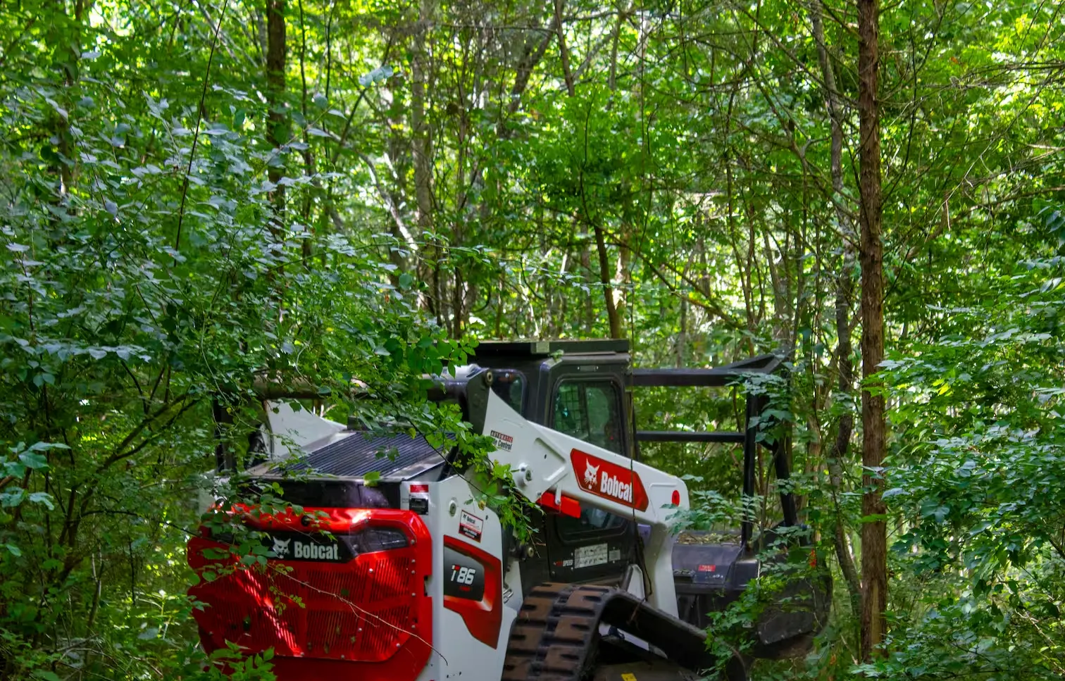 Bobcat mulcher pushing into thick woods