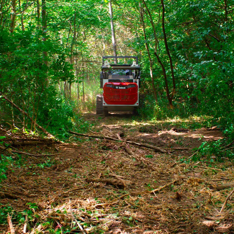 Trail mulched through woods with a track loader at the far end