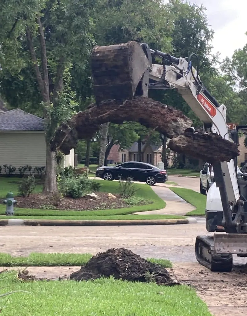 Excavator lifting a large stump from a residential yard