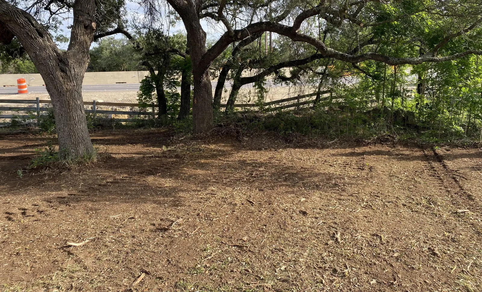 Brush cleared from under oak trees along a fence line