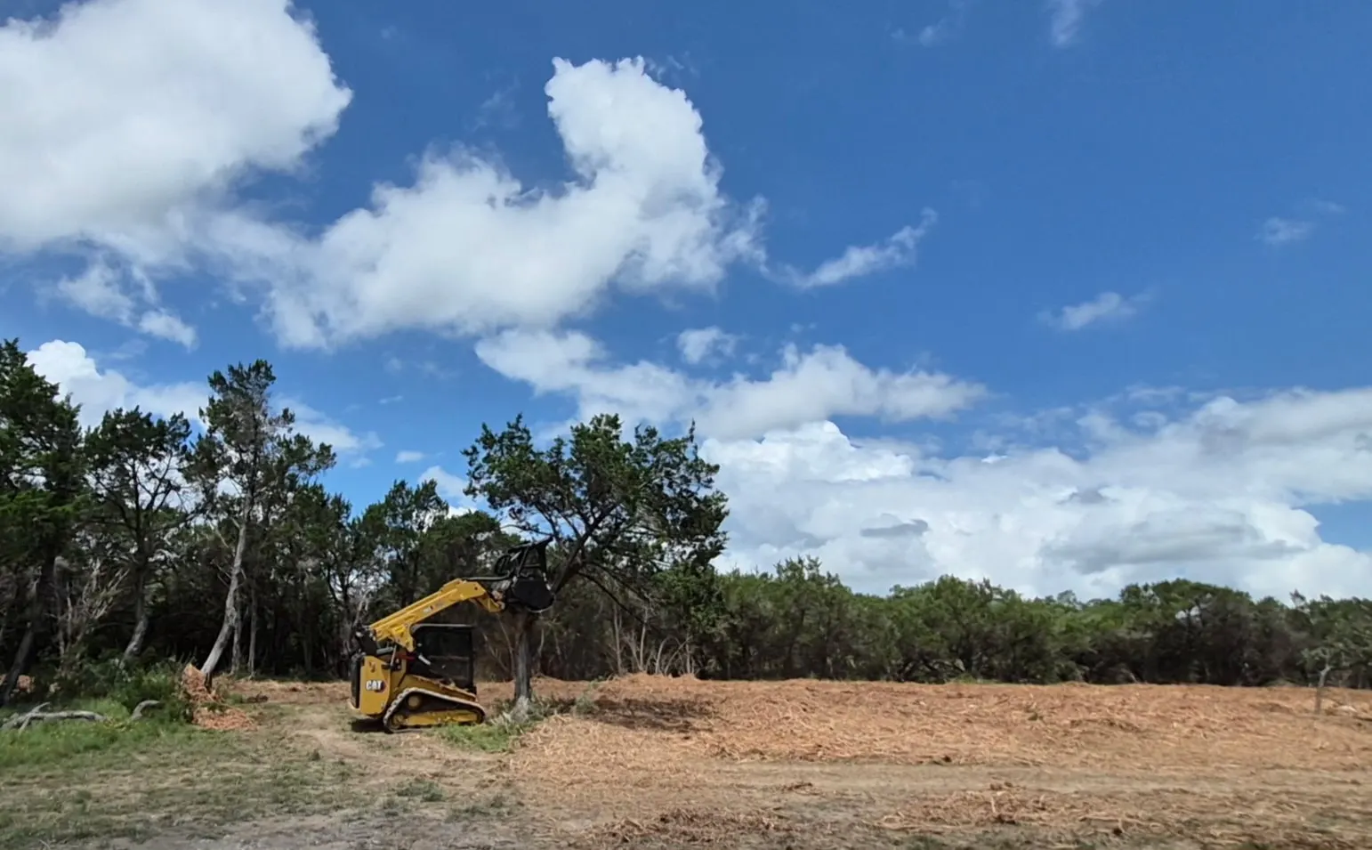 Skid steer clearing the edge of a cedar stand