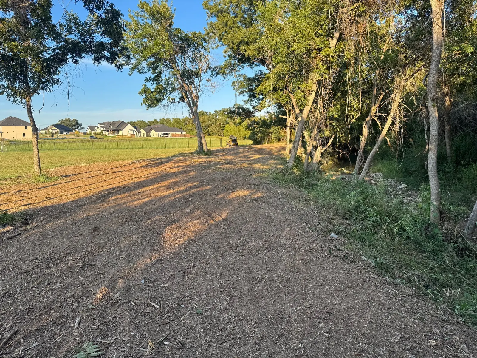 Mulched access lane cut along a tree line next to a field