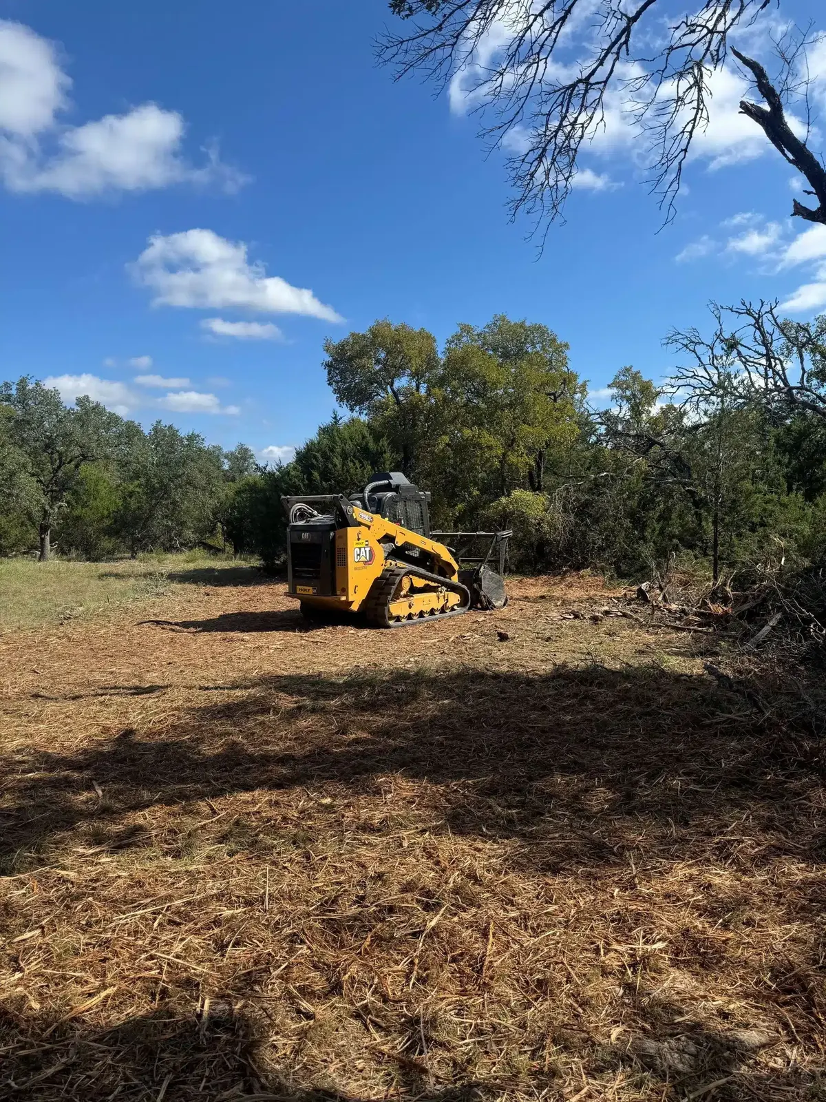 Compact track loader with mulcher clearing brush in Central Texas